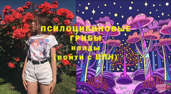 соль ск Корсаков