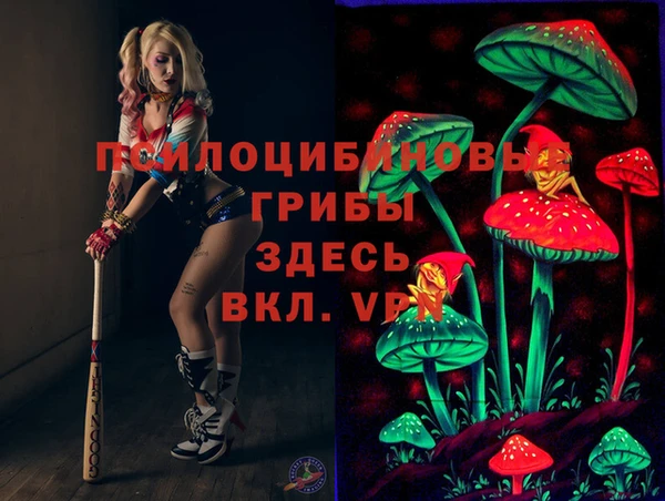 соль ск Корсаков