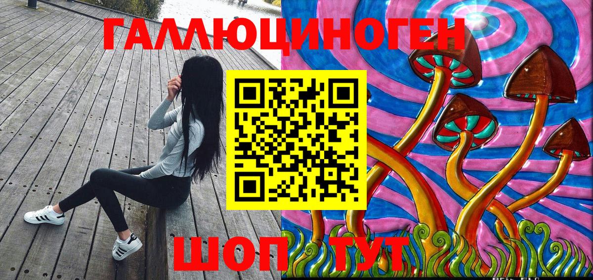 купить  сайты  Вход с VPN  Новоалтайск  Псилоцибиновые грибы Psilocybe 