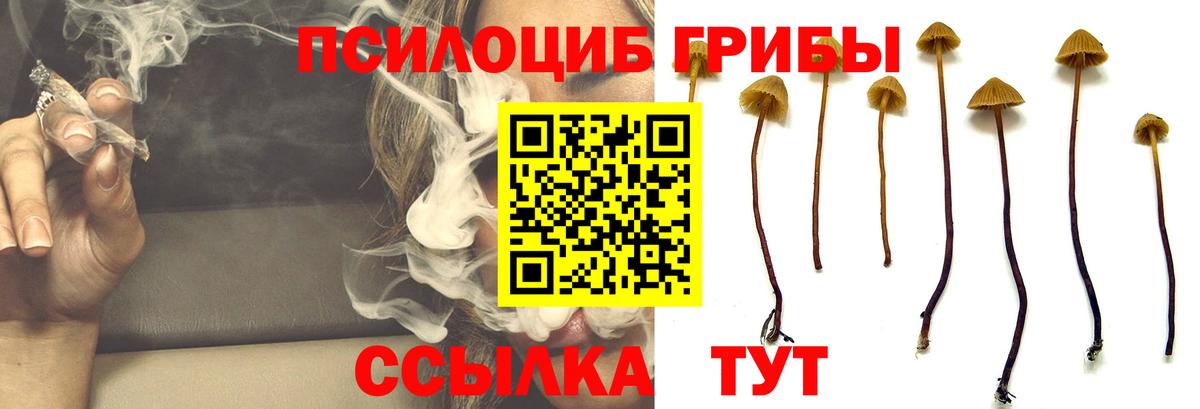 Галлюциногенные грибы Magic Shrooms Новоалтайск